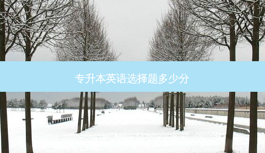 专升本英语选择题多少分-第1张图片-天智网 专升本英语选择题多少分-第1张图片-天智网