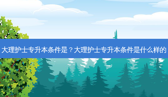 大理护士专升本条件是？大理护士专升本条件是什么样的-第1张图片-汇成专升本网