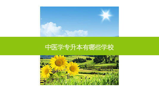 中医学专升本有哪些学校-第1张图片-天智网 中医学专升本有哪些学校-第1张图片-天智网