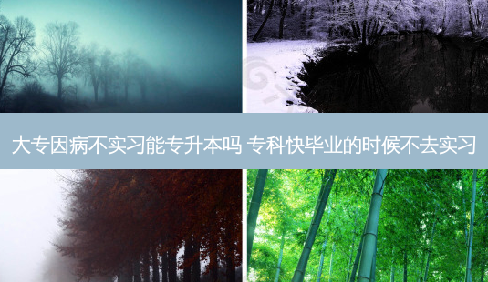 大专因病不实习能专升本吗 专科快毕业的时候不去实习-第1张图片-天智网 大专因病不实习能专升本吗 专科快毕业的时候不去实习-第1张图片-天智网