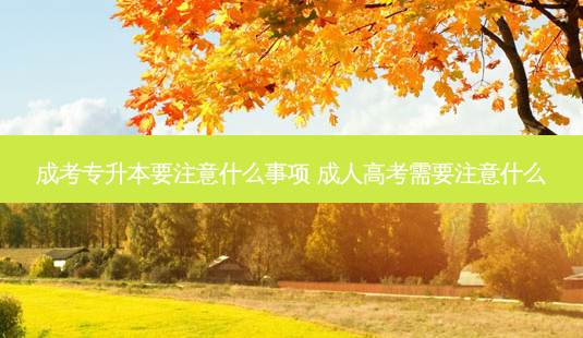 成考专升本要注意什么事项 成人高考需要注意什么-第1张图片-天智网 成考专升本要注意什么事项 成人高考需要注意什么-第1张图片-天智网
