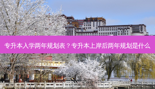 专升本入学两年规划表?专升本上岸后两年规划是什么-第1张图片-天智网 专升本入学两年规划表?专升本上岸后两年规划是什么-第1张图片-天智网