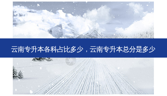 云南专升本各科占比多少,云南专升本总分是多少-第1张图片-天智网 云南专升本各科占比多少,云南专升本总分是多少-第1张图片-天智网