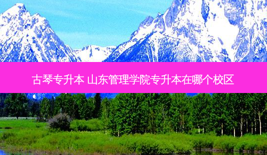 古琴专升本 山东管理学院专升本在哪个校区-第1张图片-天智网 古琴专升本 山东管理学院专升本在哪个校区-第1张图片-天智网