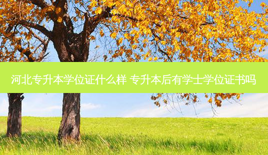 河北专升本学位证什么样 专升本后有学士学位证书吗-第1张图片-天智网 河北专升本学位证什么样 专升本后有学士学位证书吗-第1张图片-天智网