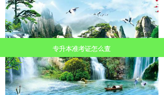 专升本准考证怎么查-第1张图片-天智网 专升本准考证怎么查-第1张图片-天智网