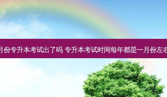 一月份专升本考试出了吗 专升本考试时间每年都是一月份左右吗-第1张图片-天智网 一月份专升本考试出了吗 专升本考试时间每年都是一月份左右吗-第1张图片-天智网