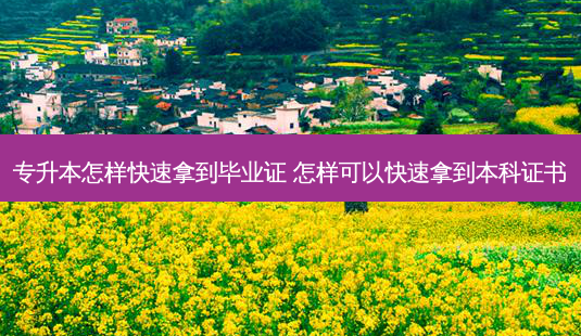 专升本怎样快速拿到毕业证 怎样可以快速拿到本科证书-第1张图片-天智网 专升本怎样快速拿到毕业证 怎样可以快速拿到本科证书-第1张图片-天智网