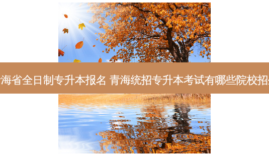 青海省全日制专升本报名 青海统招专升本考试有哪些院校招生-第1张图片-天智网 青海省全日制专升本报名 青海统招专升本考试有哪些院校招生-第1张图片-天智网