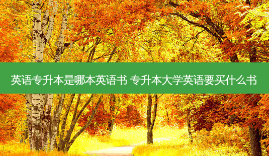 英语专升本是哪本英语书 专升本大学英语要买什么书-第1张图片-天智网 英语专升本是哪本英语书 专升本大学英语要买什么书-第1张图片-天智网