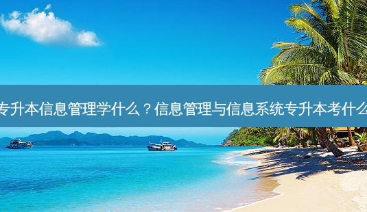 专升本信息管理学什么?信息管理与信息系统专升本考什么-第1张图片-天智网 专升本信息管理学什么?信息管理与信息系统专升本考什么-第1张图片-天智网