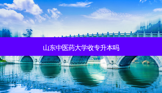 山东中医药大学收专升本吗-第1张图片-天智网 山东中医药大学收专升本吗-第1张图片-天智网