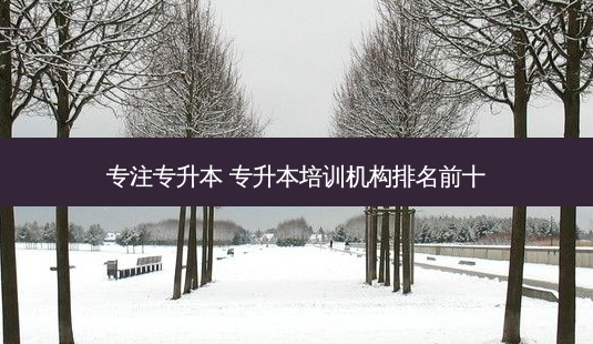 专注专升本 专升本培训机构排名前十-第1张图片-天智网 专注专升本 专升本培训机构排名前十-第1张图片-天智网