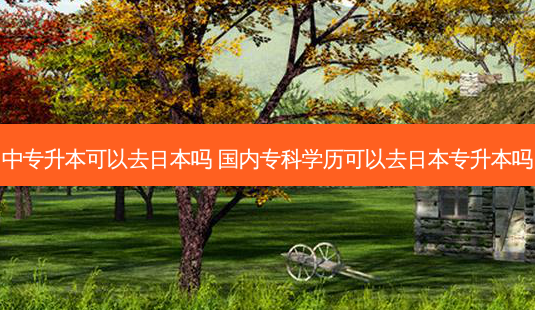 中专升本可以去日本吗 国内专科学历可以去日本专升本吗-第1张图片-天智网 中专升本可以去日本吗 国内专科学历可以去日本专升本吗-第1张图片-天智网