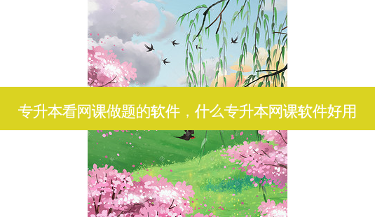专升本看网课做题的软件,什么专升本网课软件好用-第1张图片-天智网 专升本看网课做题的软件,什么专升本网课软件好用-第1张图片-天智网
