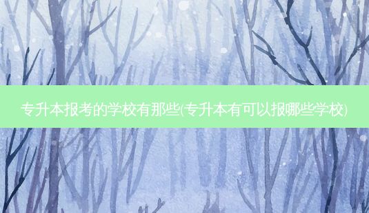 专升本报考的学校有那些(专升本有可以报哪些学校)-第1张图片-天智网 专升本报考的学校有那些(专升本有可以报哪些学校)-第1张图片-天智网