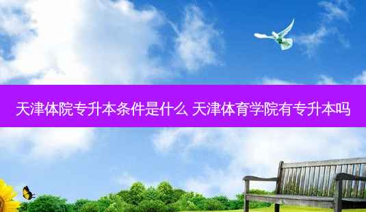 天津体院专升本条件是什么 天津体育学院有专升本吗-第1张图片-天智网 天津体院专升本条件是什么 天津体育学院有专升本吗-第1张图片-天智网