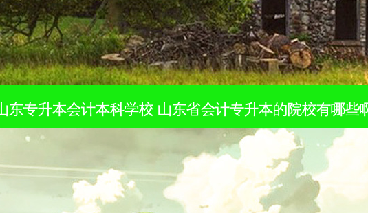 山东专升本会计本科学校 山东省会计专升本的院校有哪些啊-第1张图片-天智网 山东专升本会计本科学校 山东省会计专升本的院校有哪些啊-第1张图片-天智网