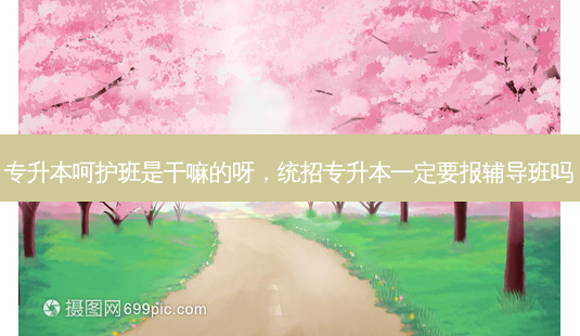 专升本呵护班是干嘛的呀,统招专升本一定要报辅导班吗-第1张图片-天智网 专升本呵护班是干嘛的呀,统招专升本一定要报辅导班吗-第1张图片-天智网