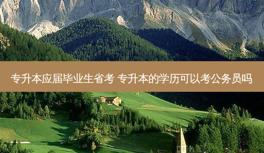 专升本应届毕业生省考 专升本的学历可以考公务员吗-第1张图片-天智网 专升本应届毕业生省考 专升本的学历可以考公务员吗-第1张图片-天智网