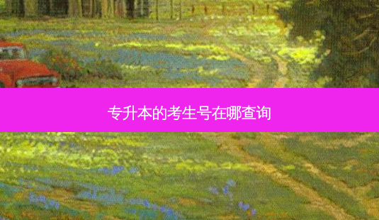 专升本的考生号在哪查询-第1张图片-天智网 专升本的考生号在哪查询-第1张图片-天智网