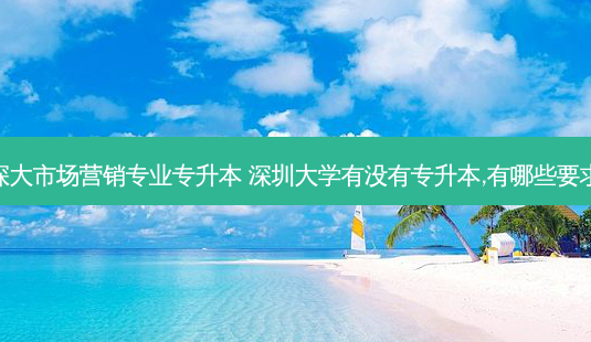 深大市场营销专业专升本 深圳大学有没有专升本,有哪些要求-第1张图片-天智网 深大市场营销专业专升本 深圳大学有没有专升本,有哪些要求-第1张图片-天智网