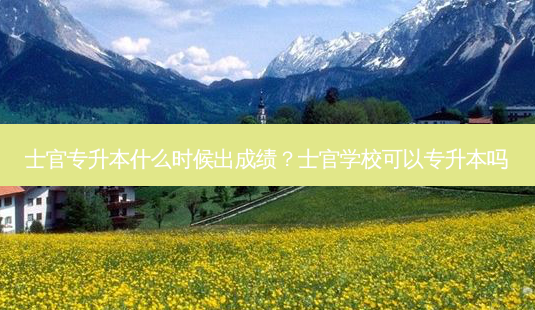 士官专升本什么时候出成绩?士官学校可以专升本吗-第1张图片-天智网 士官专升本什么时候出成绩?士官学校可以专升本吗-第1张图片-天智网