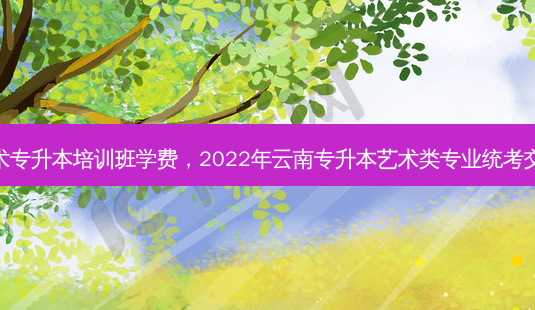 云南艺术专升本培训班学费，2022年云南专升本艺术类专业统考交多少钱-第1张图片-汇成专升本网