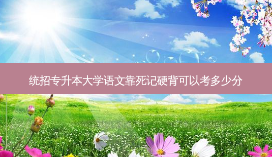 统招专升本大学语文靠死记硬背可以考多少分-第1张图片-天智网 统招专升本大学语文靠死记硬背可以考多少分-第1张图片-天智网