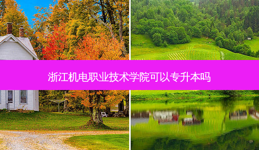 浙江机电职业技术学院可以专升本吗-第1张图片-天智网 浙江机电职业技术学院可以专升本吗-第1张图片-天智网