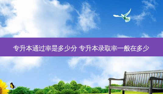 专升本通过率是多少分 专升本录取率一般在多少-第1张图片-天智网 专升本通过率是多少分 专升本录取率一般在多少-第1张图片-天智网