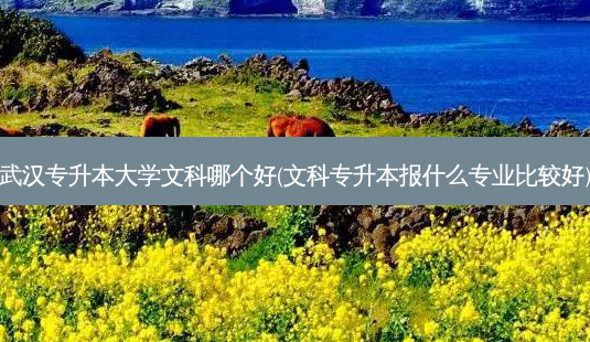 武汉专升本大学文科哪个好(文科专升本报什么专业比较好)-第1张图片-天智网 武汉专升本大学文科哪个好(文科专升本报什么专业比较好)-第1张图片-天智网
