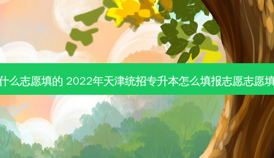 天津专升本是什么志愿填的 2022年天津统招专升本怎么填报志愿志愿填报技巧有哪些-第1张图片-汇成专升本网