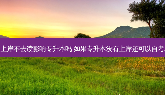 专升本上岸不去读影响专升本吗 如果专升本没有上岸还可以自考本科吗-第1张图片-天智网 专升本上岸不去读影响专升本吗 如果专升本没有上岸还可以自考本科吗-第1张图片-天智网