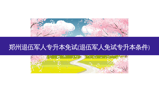 郑州退伍军人专升本免试(退伍军人免试专升本条件)-第1张图片-天智网 郑州退伍军人专升本免试(退伍军人免试专升本条件)-第1张图片-天智网