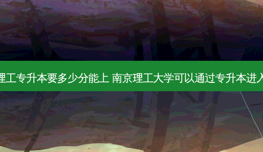 南理工专升本要多少分能上 南京理工大学可以通过专升本进入吗-第1张图片-汇成专升本网