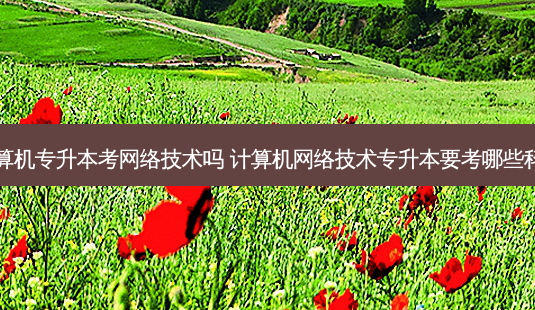 计算机专升本考 *** 技术吗 计算机 *** 技术专升本要考哪些科目-第1张图片-天智网 计算机专升本考 *** 技术吗 计算机 *** 技术专升本要考哪些科目-第1张图片-天智网