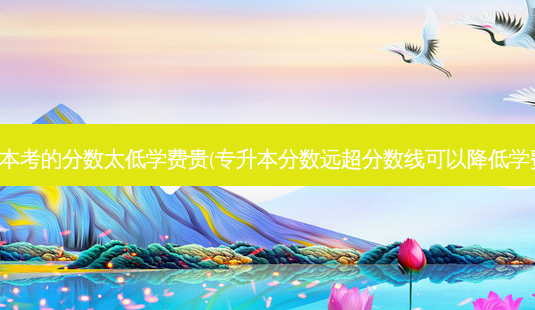 专升本考的分数太低学费贵(专升本分数远超分数线可以降低学费吗)-第1张图片-天智网 专升本考的分数太低学费贵(专升本分数远超分数线可以降低学费吗)-第1张图片-天智网