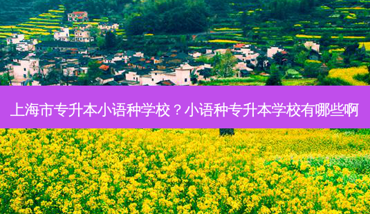 上海市专升本小语种学校?小语种专升本学校有哪些啊-第1张图片-天智网 上海市专升本小语种学校?小语种专升本学校有哪些啊-第1张图片-天智网