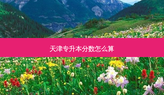 天津专升本分数怎么算-第1张图片-天智网 天津专升本分数怎么算-第1张图片-天智网