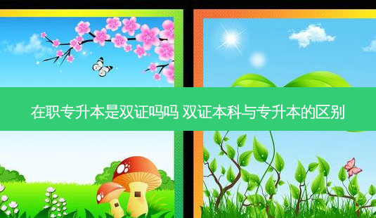 在职专升本是双证吗吗 双证本科与专升本的区别-第1张图片-天智网 在职专升本是双证吗吗 双证本科与专升本的区别-第1张图片-天智网