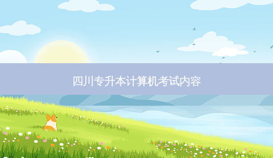 四川专升本计算机考试内容-第1张图片-天智网 四川专升本计算机考试内容-第1张图片-天智网