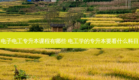电子电工专升本课程有哪些 电工学的专升本要看什么科目-第1张图片-天智网 电子电工专升本课程有哪些 电工学的专升本要看什么科目-第1张图片-天智网