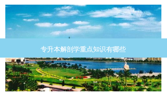 专升本解剖学重点知识有哪些-第1张图片-天智网 专升本解剖学重点知识有哪些-第1张图片-天智网