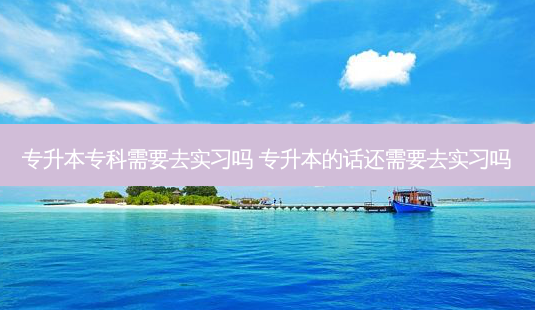 专升本专科需要去实习吗 专升本的话还需要去实习吗-第1张图片-天智网 专升本专科需要去实习吗 专升本的话还需要去实习吗-第1张图片-天智网