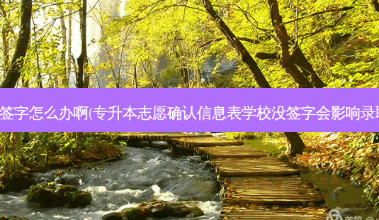 专升本没签字怎么办啊(专升本志愿确认信息表学校没签字会影响录取结果吗)-第1张图片-天智网 专升本没签字怎么办啊(专升本志愿确认信息表学校没签字会影响录取结果吗)-第1张图片-天智网