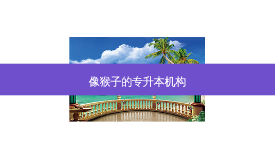 像猴子的专升本机构-第1张图片-天智网 像猴子的专升本机构-第1张图片-天智网