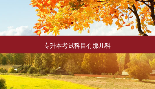 专升本考试科目有那几科-第1张图片-天智网 专升本考试科目有那几科-第1张图片-天智网