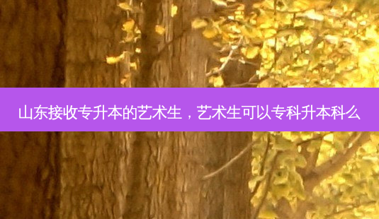 山东接收专升本的艺术生,艺术生可以专科升本科么-第1张图片-天智网 山东接收专升本的艺术生,艺术生可以专科升本科么-第1张图片-天智网