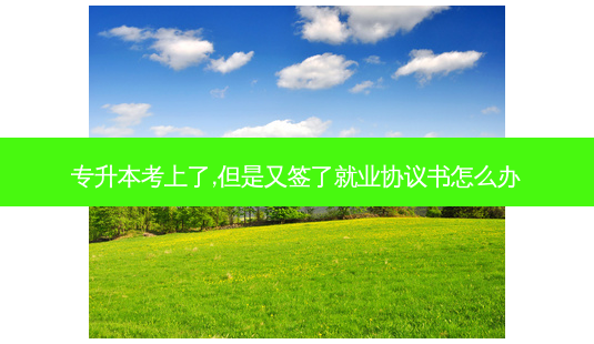 专升本考上了,但是又签了就业协议书怎么办-第1张图片-天智网 专升本考上了,但是又签了就业协议书怎么办-第1张图片-天智网